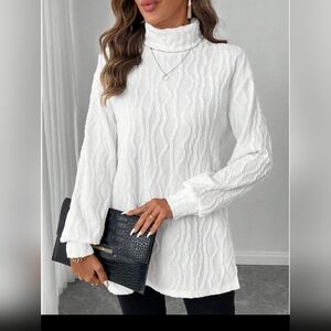 Woman's Ruched Turtleneck
